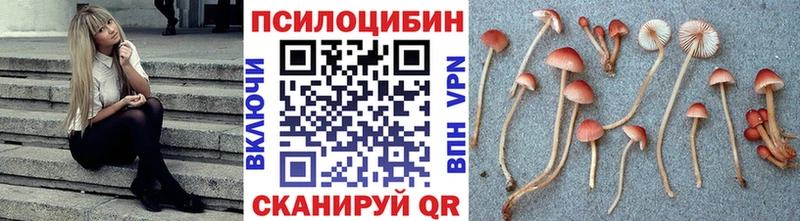 mega   как найти закладки  Сибай  Галлюциногенные грибы мухоморы 